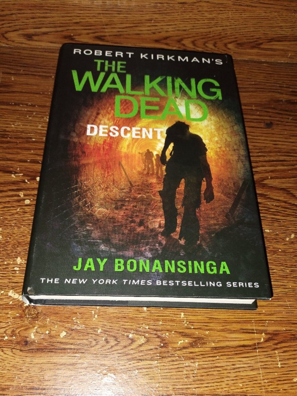 The Walking Dead : Descent (Robert Kirkman, 2014) First Edition Hardcover Book